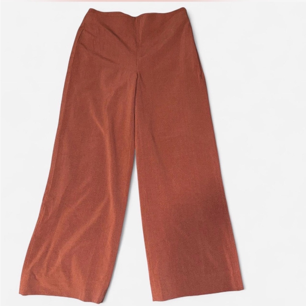 Silence + Noise Terracotta Wide-Leg Pants